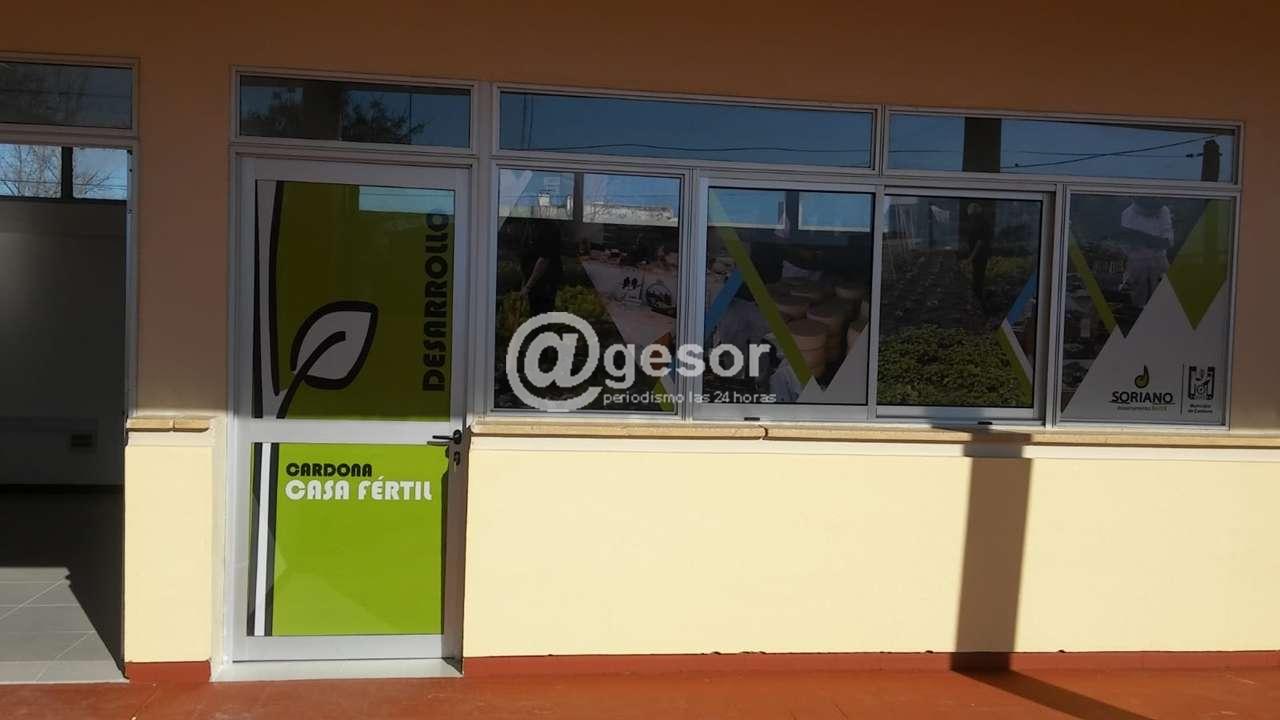 Image4